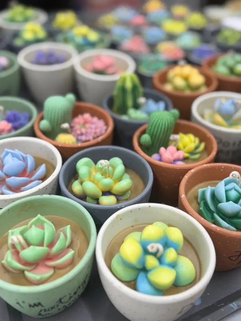 Succulent-shaped candles in small clay pots